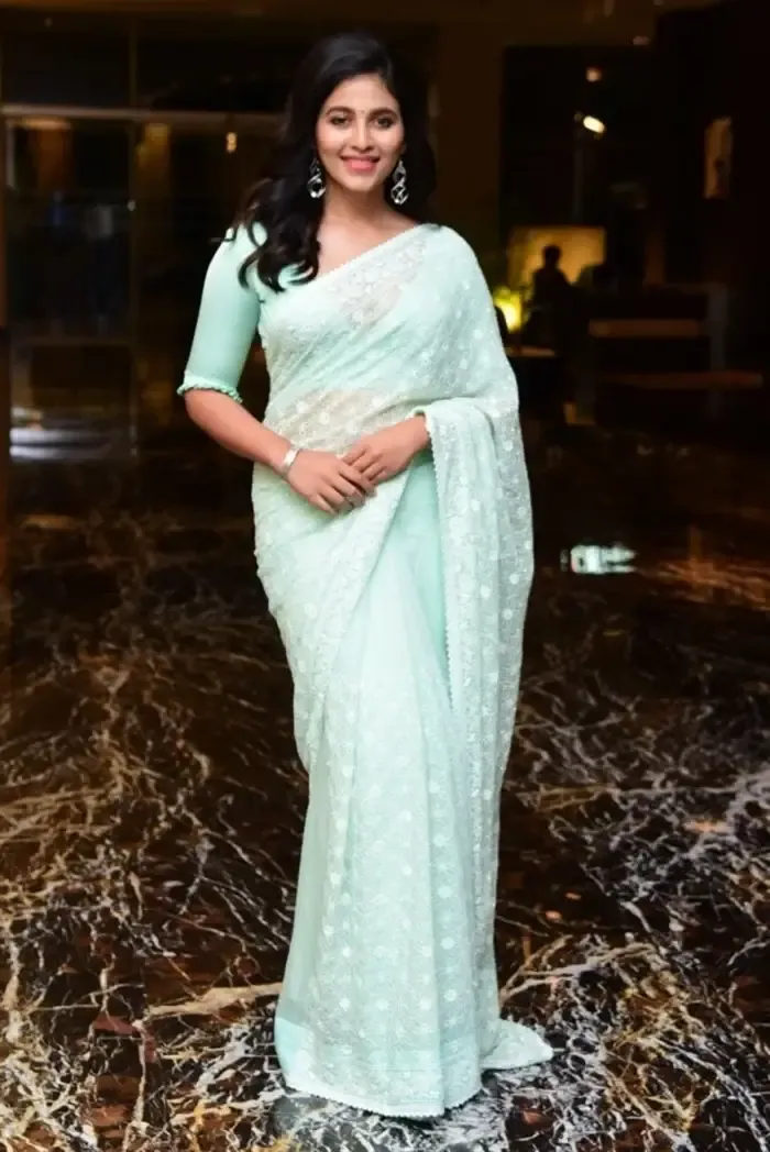 SOUTH INDIAN ACTRESS ANJALI STILLS IN TRADITIONAL LIGHT GREEN SAREE 16